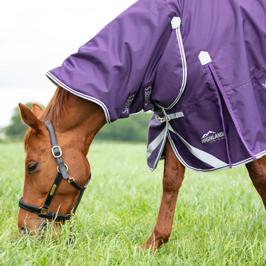 Shires Plum Highlander Original 100g Turnout Combo Rug