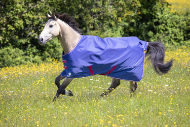 Buy the Shires Tempest Original Air Motion Navy Lightweight Turnout | Online for Equine