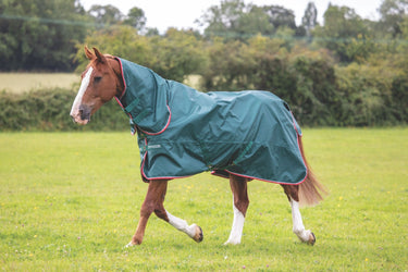 Shires Typhoon Lite 0g Combo Turnout Rug