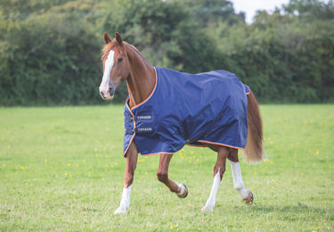 Shires Typhoon 100g Turnout Rug