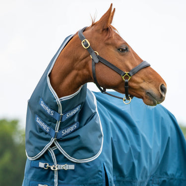 Shires Ocean Highlander Original 50g Turnout Rug Neck Cover