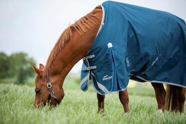 Shires Ocean Highlander Original 50g Turnout Rug
