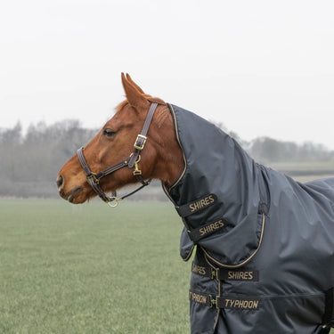 Shires Black Typhoon 50g Combo Turnout Rug