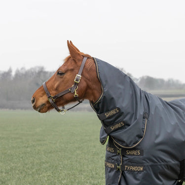 Shires Black Typhoon 50g Combo Turnout Rug| Online For Equine