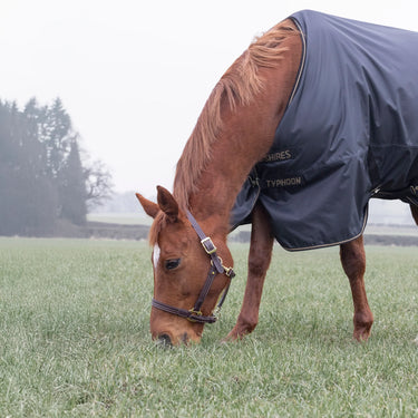 Shires Black Typhoon 50g Turnout Rug