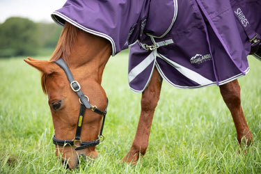 Shires Highlander Original 100G Turnout Rug & Neck Set