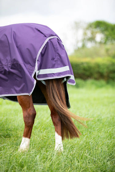 Shires Highlander Original 100G Turnout Rug & Neck Set