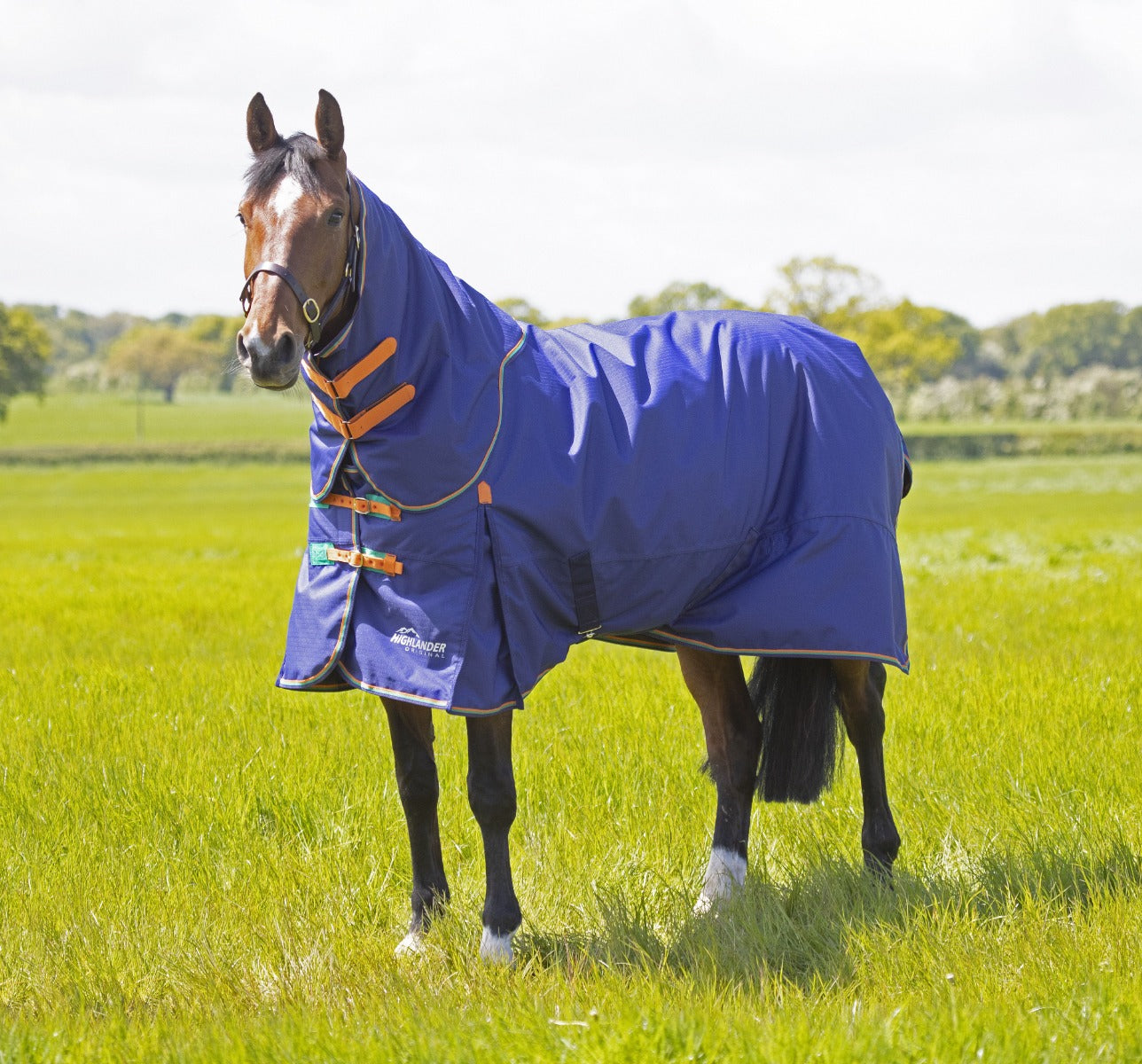 Buy the Shires Highlander Original 100G Turnout Rug & Neck Set | Online ...