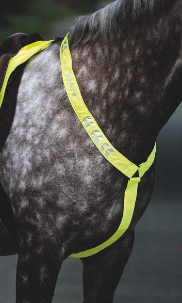 Buy the Shires Equi-Flector Breastplate | Online for Equine