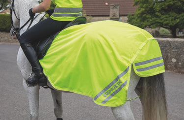 Buy the Shires Equi-Flector Mesh Exercise Sheet | Online for Equine