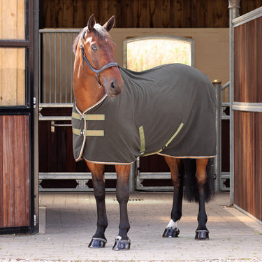 Buy Shires Tempest Original Khaki Fleece Rug | Online for Equine