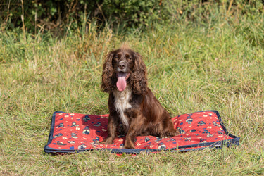 Benji & Flo Thelwell Collection Balancing Act Dog Bed