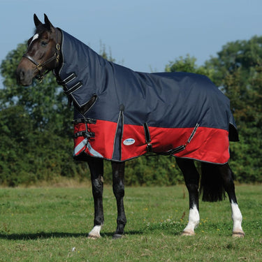 Buy the WeatherBeeta ComFiTec Plus Dynamic II 100g Lightweight Combo Neck Turnout Rug | Online for Equine