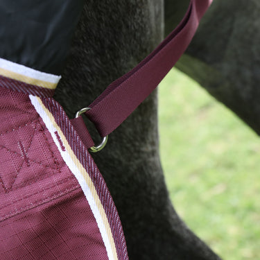 Buy Shires Highlander Plus 100 Combo Turnout Rug| Online for Equine