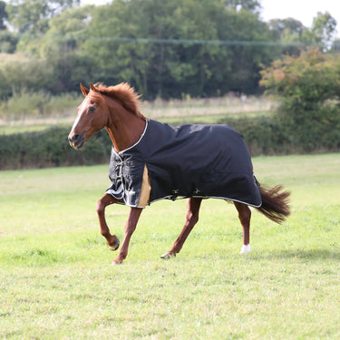 Shires Highlander Plus 200g Standard Neck Turnout Rug