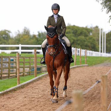 Shires Spruce Green Check Aubrion Saratoga Jacket