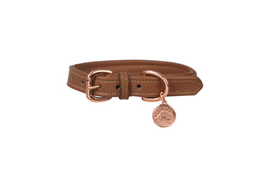 Benji & Flo Deluxe Padded Leather Dog Collar