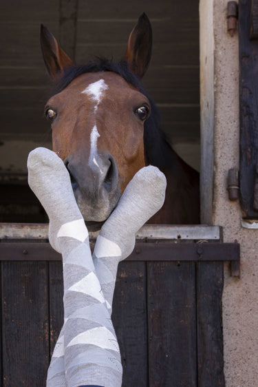 Equithème - Girly - Socks