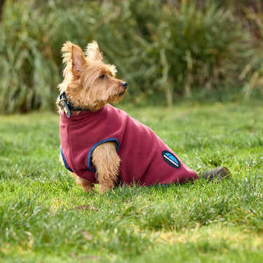 Weatherbeeta Comfitec Fleece Zip Dog Coat Burgundy/ Navy