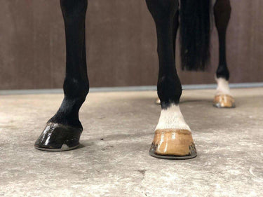 Buy Smart Grooming Hoof Shine | Online for Equine