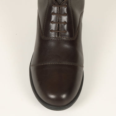 Buy Shires Moretta Brown Gianna Lace Front Long Leather Riding Boots (Short Height)| Online for Equine