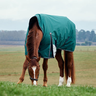 Weatherbeeta Comfitec Plus Dynamic Turnout High Neck 100G