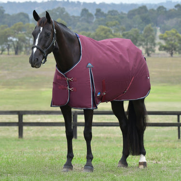 Weatherbeeta Comfitec Essential Turnout 220G Burgundy/ Navy