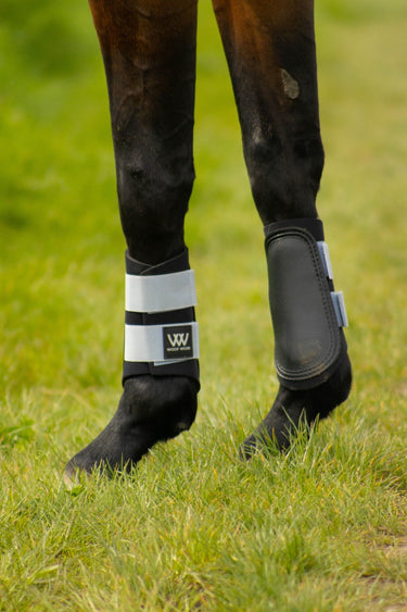 Buy Woof Wear Porcelain Blue Club Brushing Boot | Online for Equine
