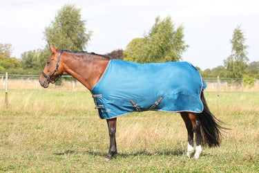StormX Empra 50 Turnout Rug