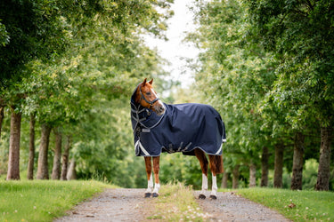 Horseware Ireland Rambo 1680D Plus Turnout Rug 0G Navy / Thunderstorm Grey & Silver