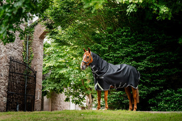 Horseware Ireland Rambo 1680D Plus Turnout Rug 100G Black / Thunderstorm Grey & Silver