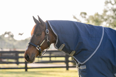 Horseware Ireland Rhino Turnout Rug Hood 0G