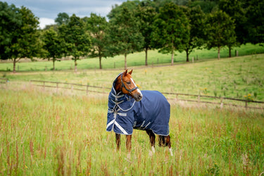 Horseware Ireland Rhino Plus Turnout Rug 250G Vl Navy / Titanium Grey & Classic Blue