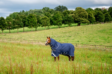 Horseware Ireland Rhino Plus Turnout Rug 100G