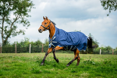Horseware Ireland Rhino Wug Turnout Rug 250G Vl Navy / Titanium Grey & Classic Blue