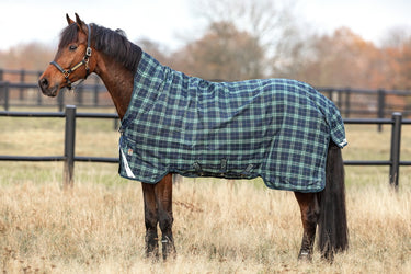 Horseware Ireland Rhino Wug Turnout Rug 250G Vl Hunter Check / Green & Navy