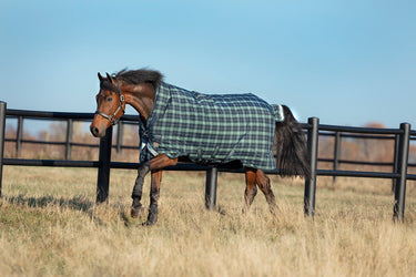 Horseware Ireland Rhino Wug Turnout Rug 250G Vl Hunter Check / Green & Navy