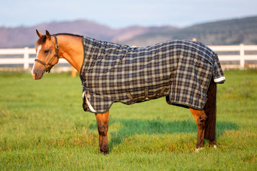 Horseware Ireland Rhino Wug Turnout Rug 250G Vl Hunter Check / Green & Navy