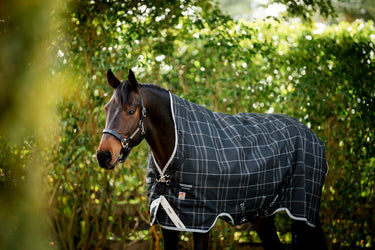 Horseware Ireland Rhino Wug Turnout Rug 250G Vl Black / Grey / White Check & Grey