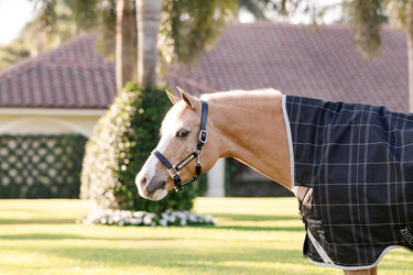 Horseware Ireland Rhino Wug Pony Turnout Rug 100G