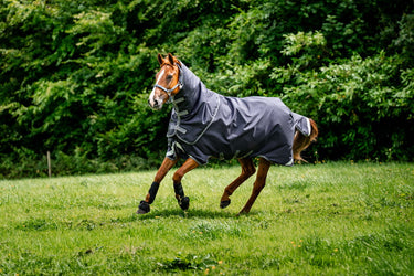 Horseware Ireland Rambo Duo Ripstop Plus Turnout Rug Bundle (100G + 100G + 200G)| Online For Equine