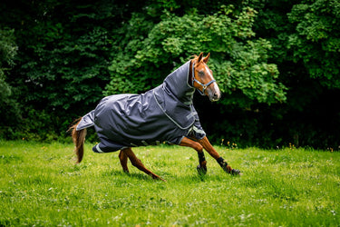 Horseware Ireland Rambo Duo Ripstop Plus Turnout Rug Bundle (100G + 100G + 200G)| Online For Equine