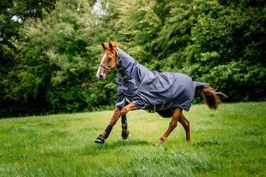Horseware Ireland Rambo Duo Ripstop Plus Turnout Rug Bundle (100G + 100G + 200G)| Online For Equine