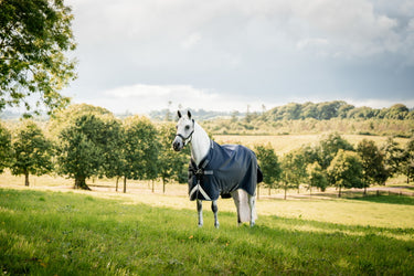 Horseware Ireland Rambo 1680D Turnout Rug 100G Navy / Thunderstorm Grey & Silver