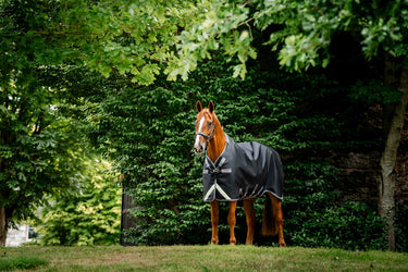 Horseware Ireland Rambo 1680D Turnout Rug 250G Vl Black / Thunderstorm Grey & Silver