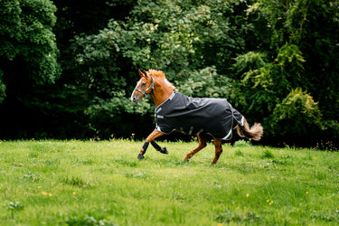 Horseware Ireland Rambo 1680D Turnout Rug 100G Black / Thunderstorm Grey & Silver