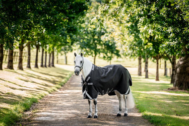 Horseware Ireland Rambo 1680D Turnout Rug 100G Black / Thunderstorm Grey & Silver