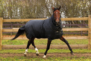 Horseware Ireland Trot Plus Turnout Rug 350G