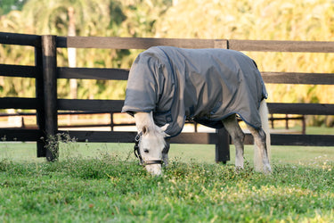 Horseware Ireland Rhino Hexstop Plus Pony Turnout Rug 100G