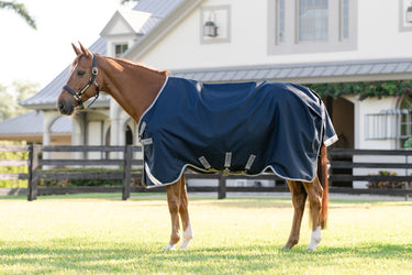 Horseware Ireland Amigo 1200D Turnout Rug 0G Navy / Titanium Grey & Silver